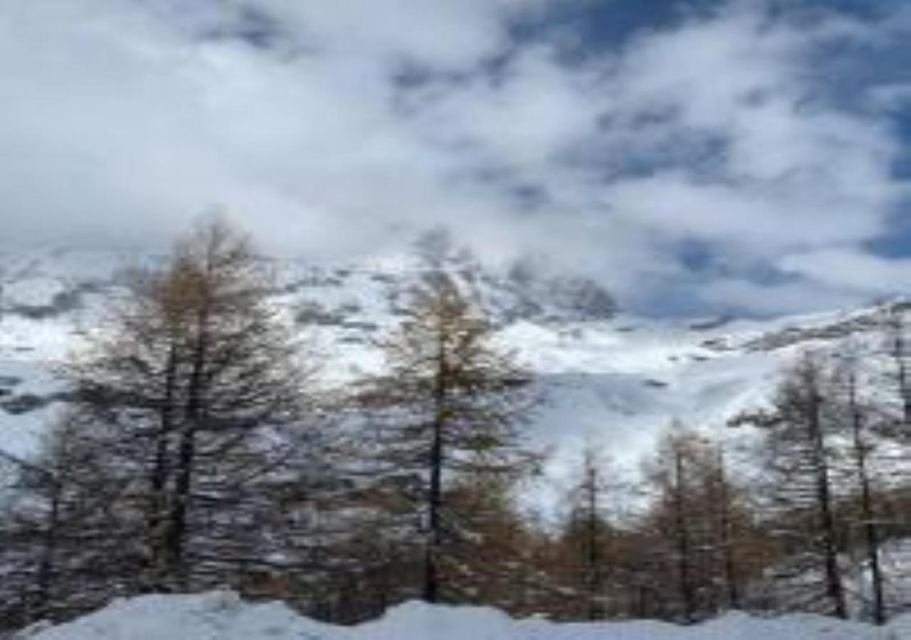 Casa Cervinia Shuss 2 Daire Breuil-Cervinia Dış mekan fotoğraf